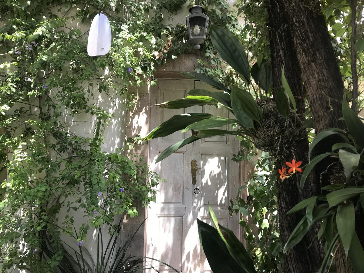 Hotel Fk San Miguel de Allende Eksteriør billede